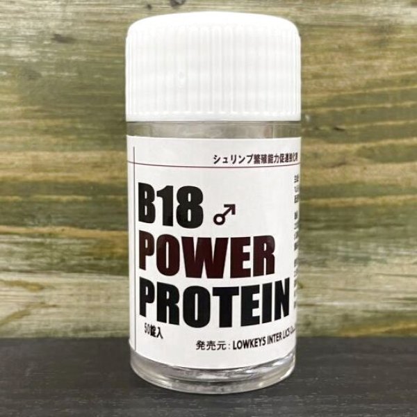 画像1: 【促進強化剤】B18 power protein 50粒入り (1)
